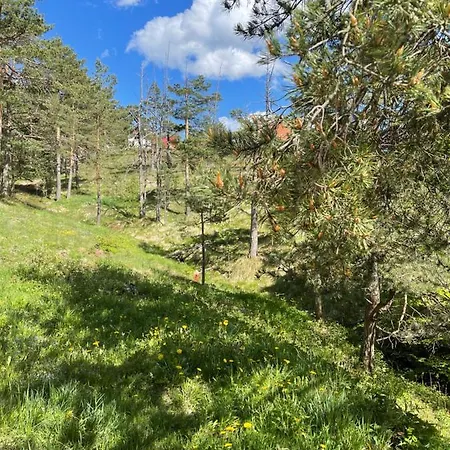 Holiday home Veselica