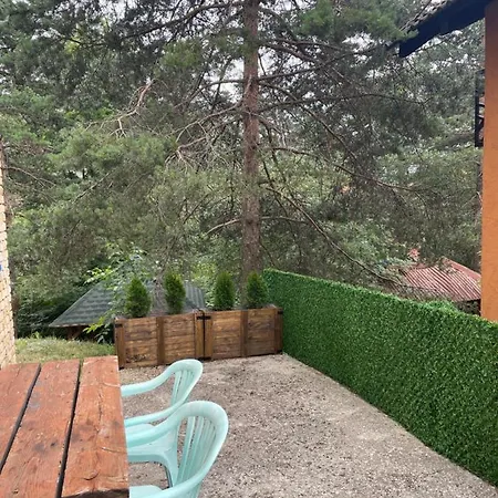 Veselica Сasa de vacaciones