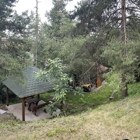 Veselica Prázdninový dům *